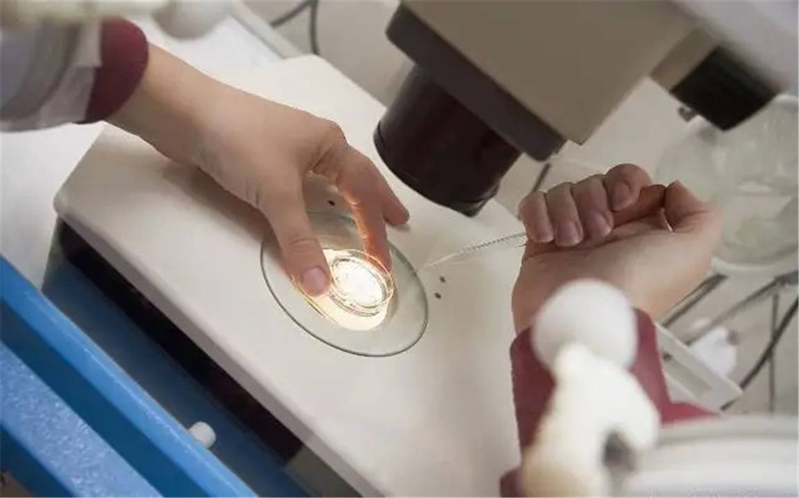 生殖技术与捐卵价格的伦理研究