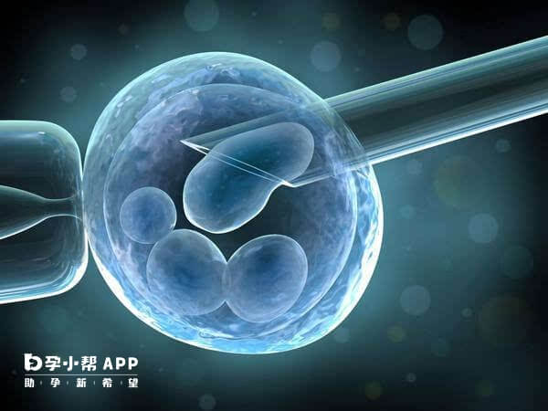 生殖技术与伦理：大理代怀孕捐卵调查及法律解读