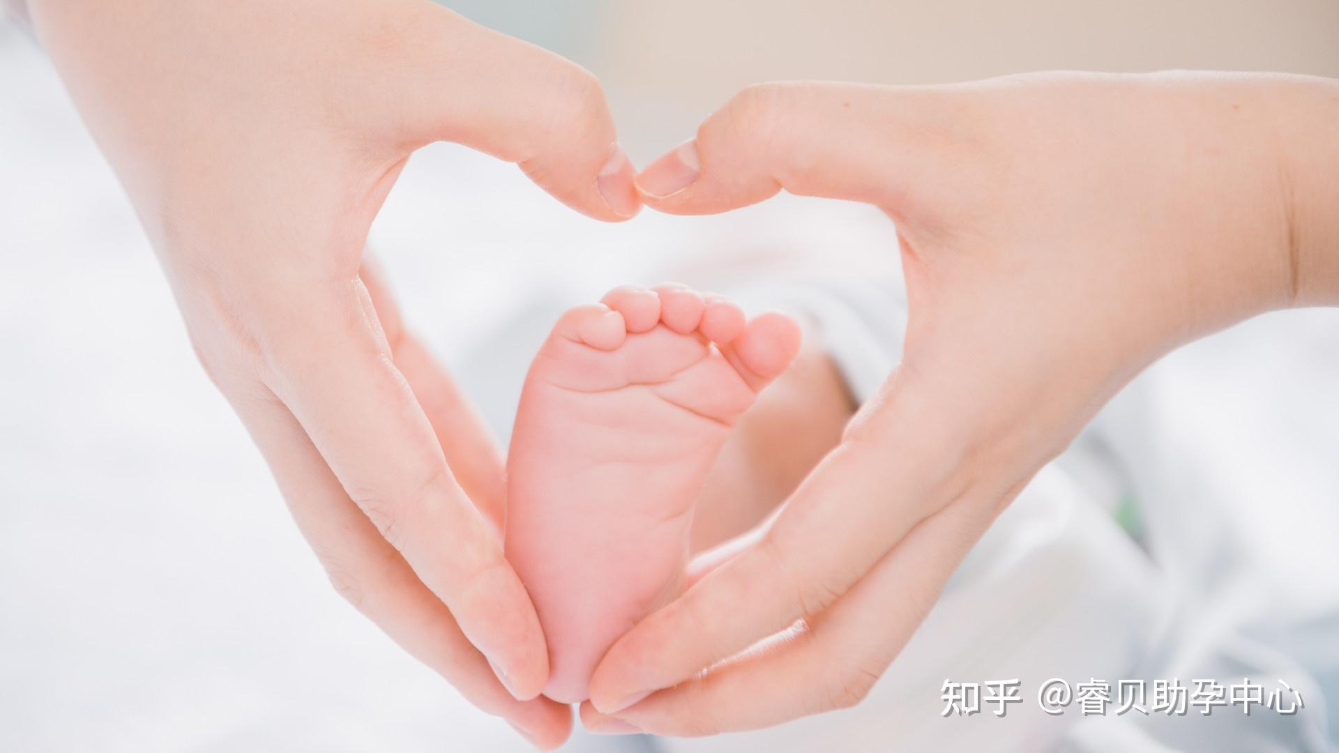 生殖技术与社会责任：清远市捐卵补偿制度探析