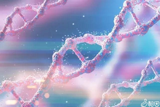 生殖技术与法律监管：玉林捐卵公司的法律实践分析