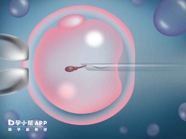 生殖技术与道德底线：北京捐卵代怀背后的伦理考量